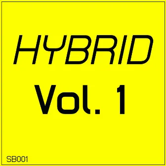 Hybrid Vol.1 by Shaun Skerritt