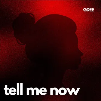 Tell Me Now by GDEE