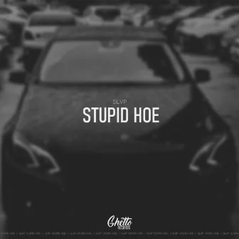 Stupid Hoe by SLVP