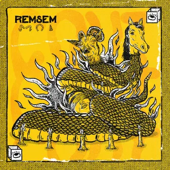 Remsem by COUT