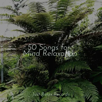 50 Songs for Mind Relaxation by CANCIONES DE CUNA