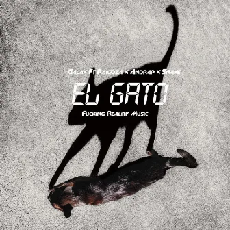 El Gato by Galax