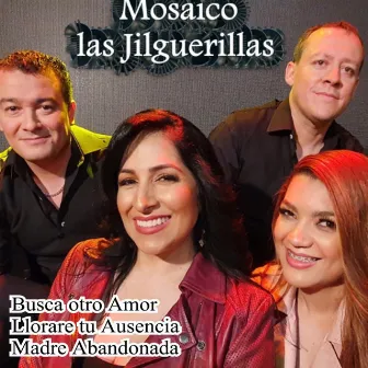 Mosaico las Jilguerillas: Busca Otro Amor / Llorare Tu Ausencia / Madre Abandonada by Las Alondras