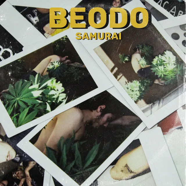 BEODO