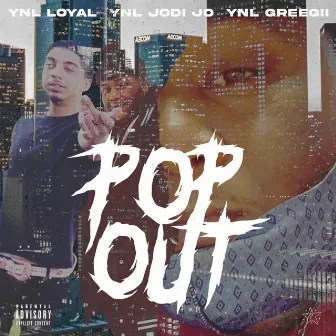 Pop out by Ynl Loyal