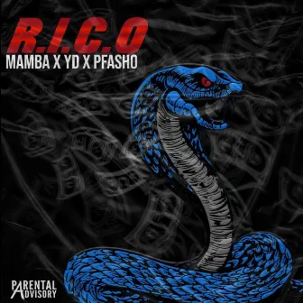 Rico by Mamba