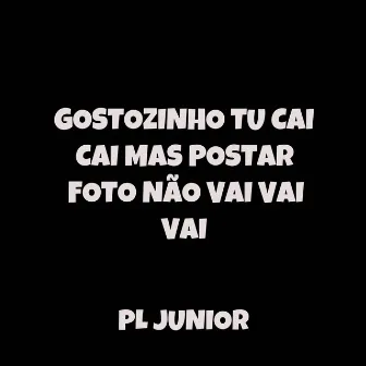 Gostozinho Tu Cai Cai, Mas Postar Foto Não Vai Vai Vai by PL JUNIOR