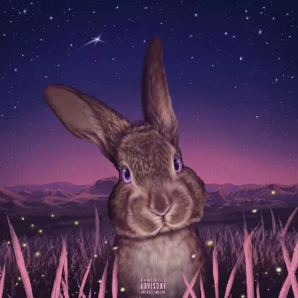 Honey Bunny 2 by MoonLander