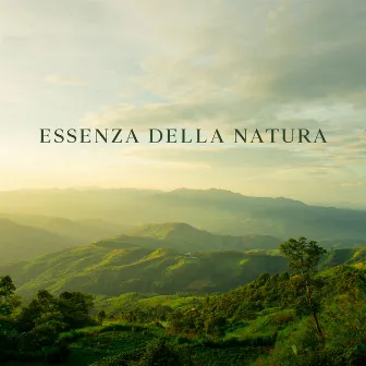 Essenza Della Natura: Serenità E Suoni Naturali Per Rilassarsi, Meditare, Riposare by 