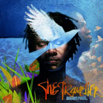 The Traveller (Special Edition) by Baaba Maal