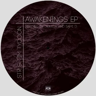 Awakenings EP by Sami D.