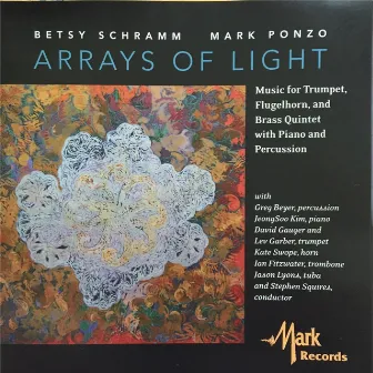 Betsy Schramm: Arrays of Light by Mark Ponzo