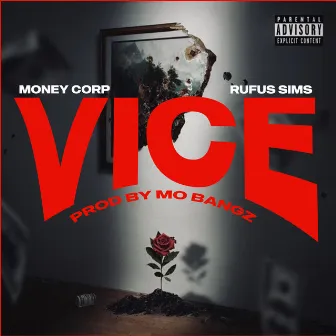 Vice by Rufus Sims