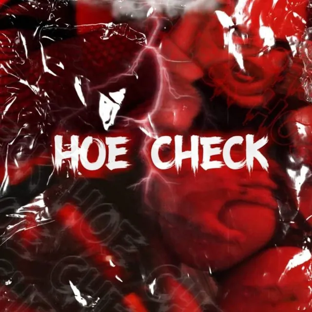 HOE CHECK