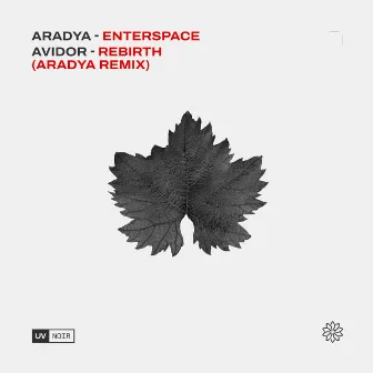 Enterspace by Avidor