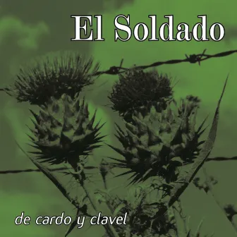 De Cardo y Clavel by El Soldado