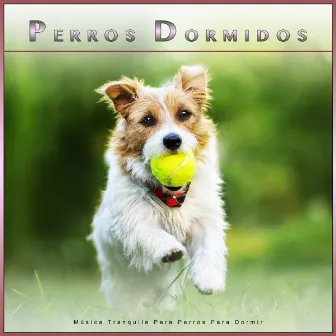 Perros Dormidos: Música Tranquila Para Perros Para Dormir by Música Para Dormir A Los Perros