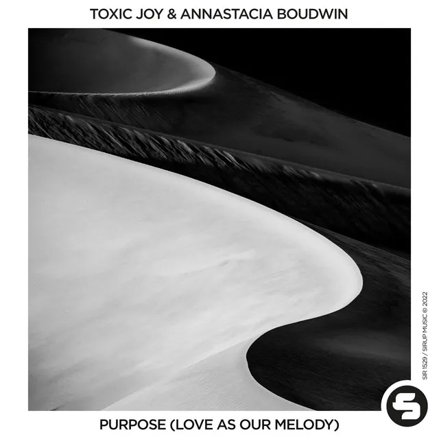 Purpose (Love as Our Melody) - Extended Mix