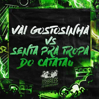 Vai Gostosinha Vs Senta pra Tropa do Catatau by DJ Geovanne do Dick