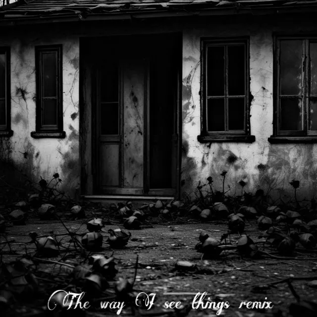 The Way I See Things (Remix)