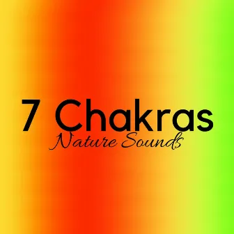 7 Chakras: Chakra Meditation New Age Music with Nature Sounds, Realignment, Visualization by Idrissa Silita