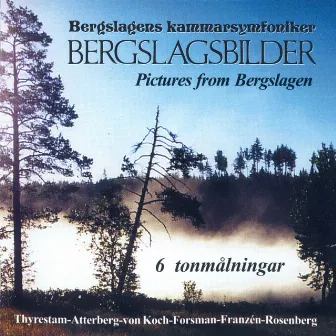 Bergslagsbilder by Toomas Kapten