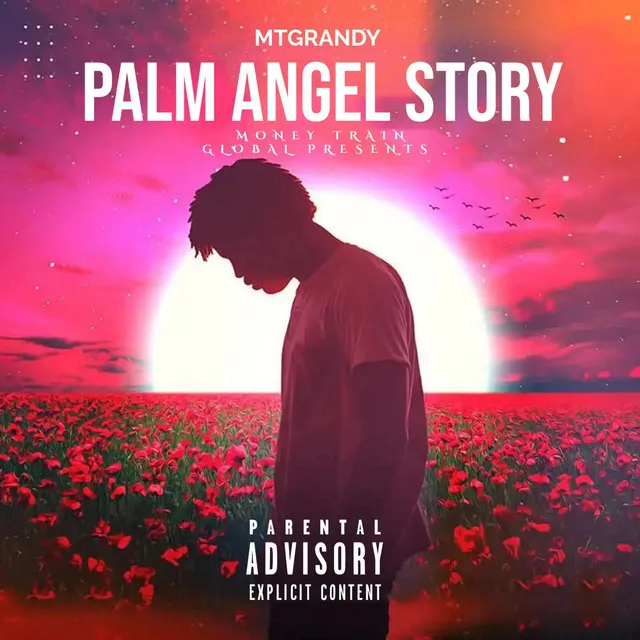 Palm Angel Story