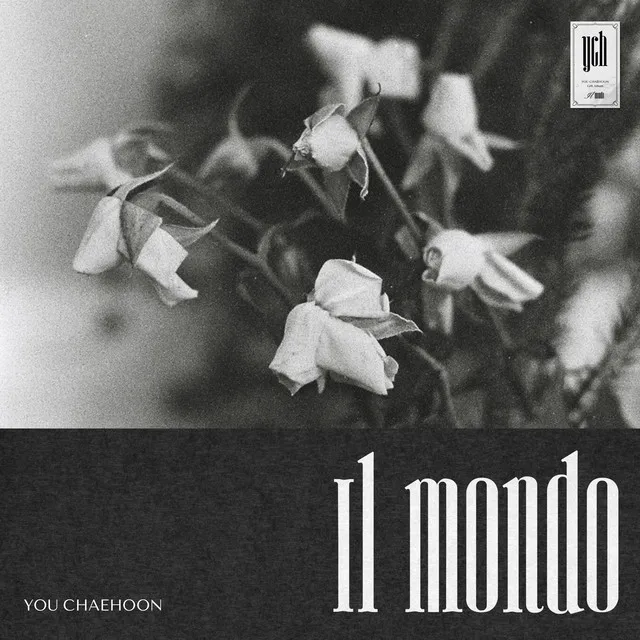 Il Mondo - Instrumental