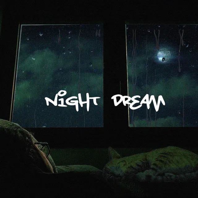 Night Dream