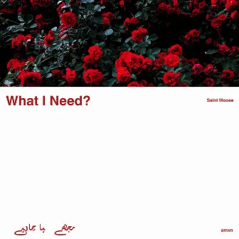 What I Need by Saint Moose