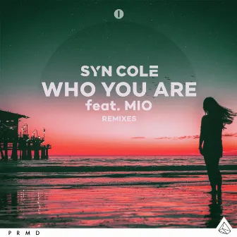 Who You Are (Remixes) by Syn Cole