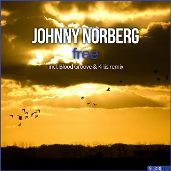 Free by Johnny Norberg