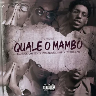 Qual É o Mambo by Unknown Artist