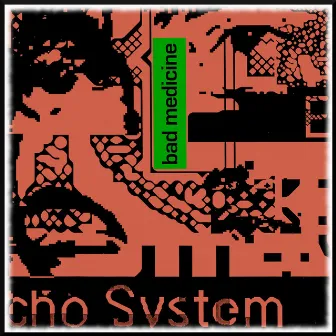 Bad Medicine by Echo System