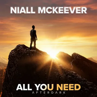 All You Need by Niall McKeever