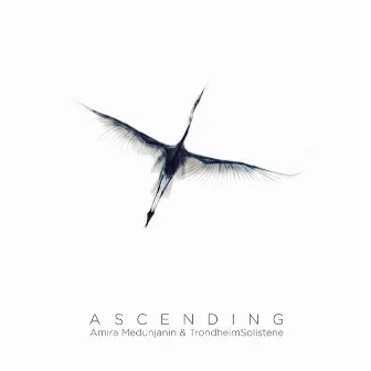 ASCENDING by Unknown Artist