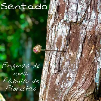 Enigmas de uma Fábula de Florestas by SENTADO