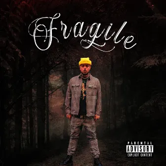 Fragile by bowzy