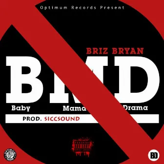 Baby Mama Drama by Briz Bryan