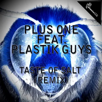 Taste of Salt (Remix) by Plusone