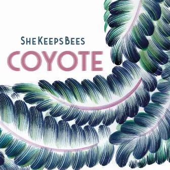 Coyote by She Keeps Bees