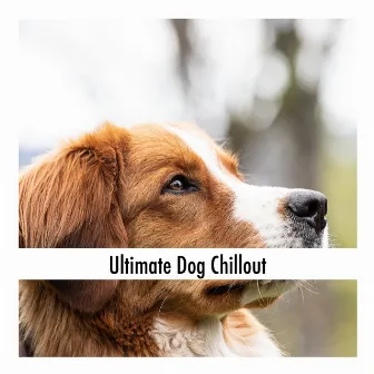 Ultimate Dog Chillout by Calming Dog Relaxation