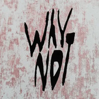 Why Not by EAZY VILLAGE