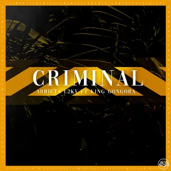 Criminal by Unknown Artist