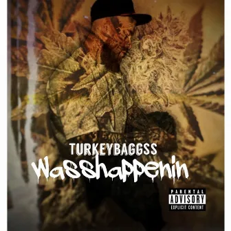 Wasshappenin by TURKEYBAGG$$