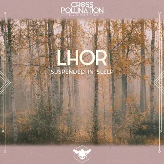 Suspended in Sleep by Lhor