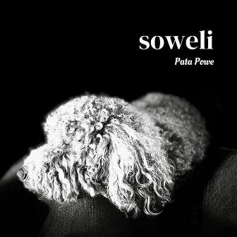 soweli by Pata Powe