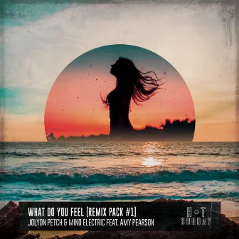 What Do You Feel (Remixes) by Amy Pearson