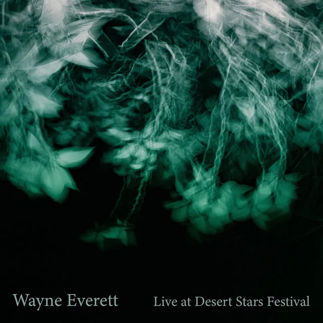 Live at Desert Stars Festival