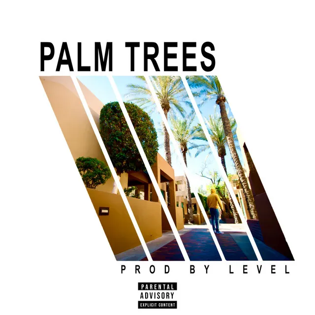 Palm Trees